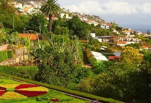 Funchal