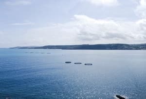 Malta (Insel)