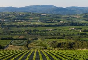 Drôme