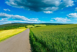 Rheinböllen