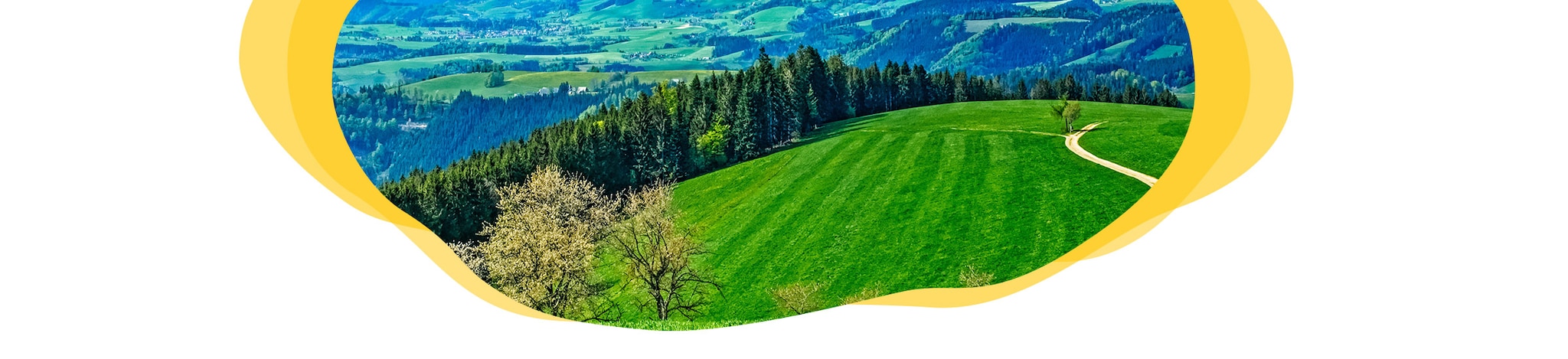 Digitale Reise Baden Württemberg Header