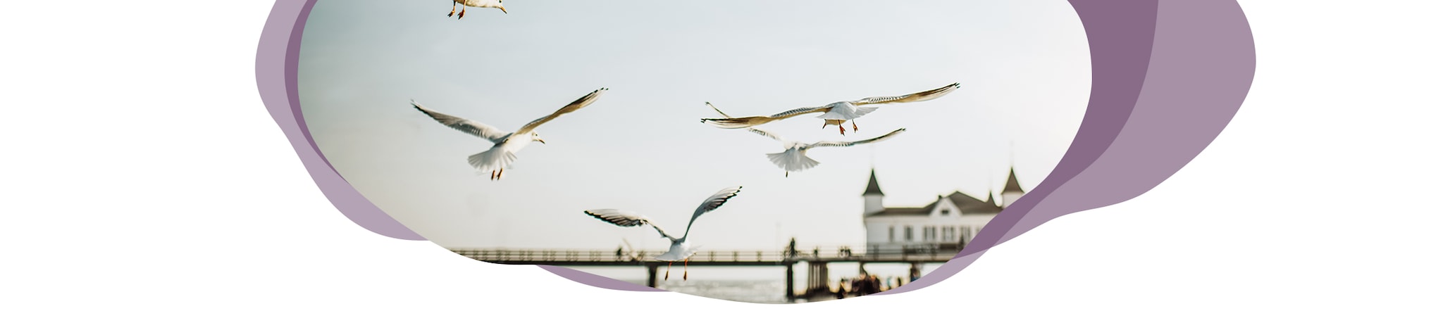 Digitale Reise Mecklenburg-Vorpommern Header