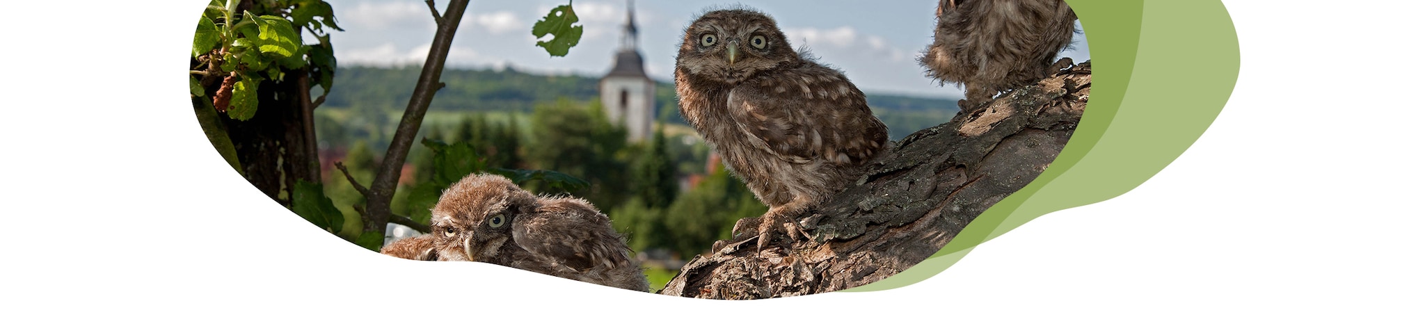 Digitale Reise Saarland Header